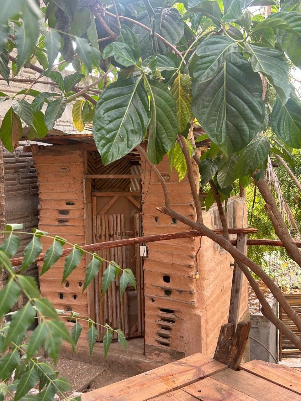 Casa De Las Brujas Hostal Zipolite Exteriér fotografie